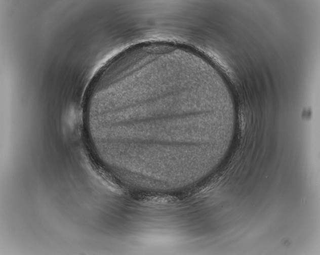 X0000089970488200707271924