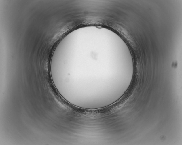 X0000089970489200707271924