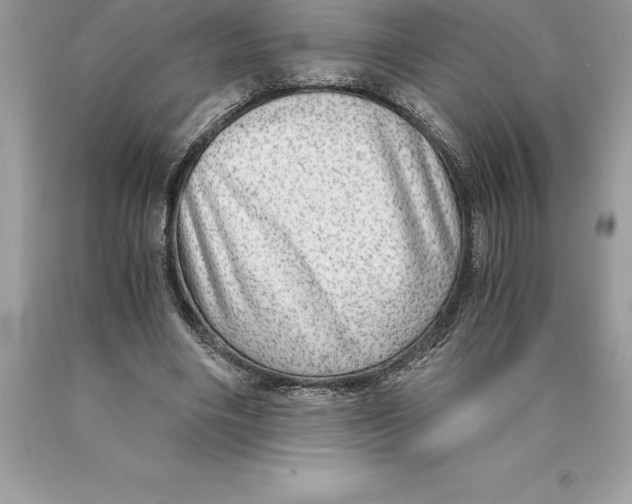 X0000089970490200707271924