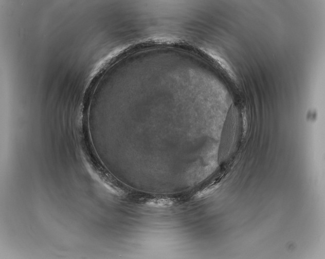 X0000089970492200707271924