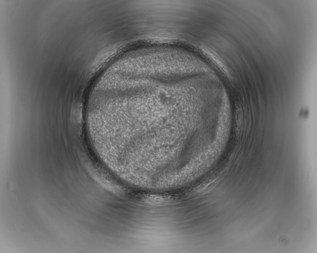 X0000089970494200707271924