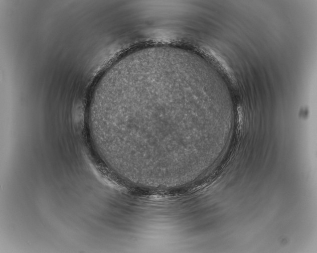 X0000089970496200707271924