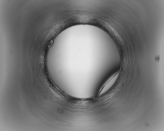 X0000089970497200707271924