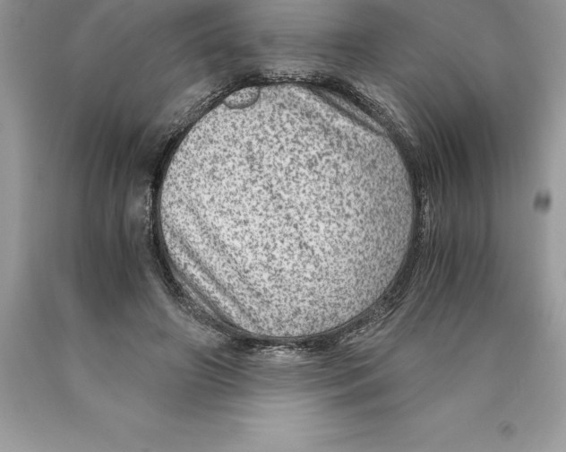 X0000089970498200707271924