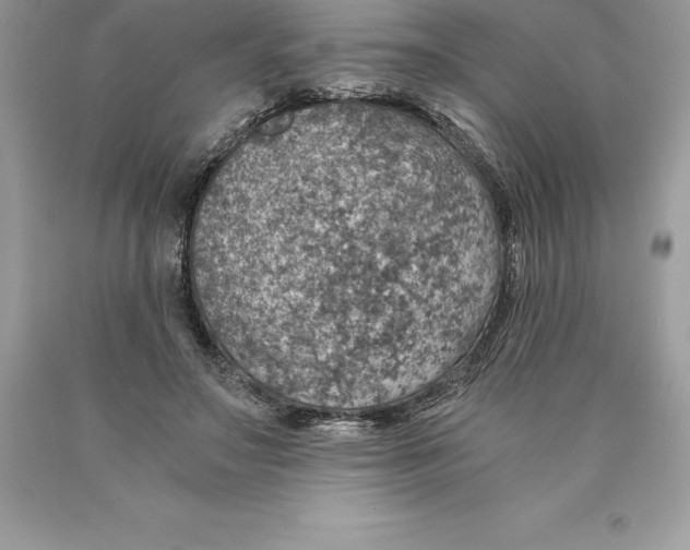 X0000089970499200707271924