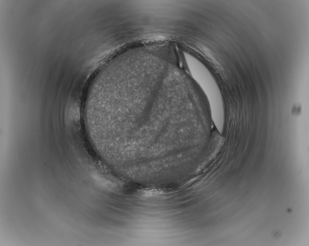 X0000089970500200707271924