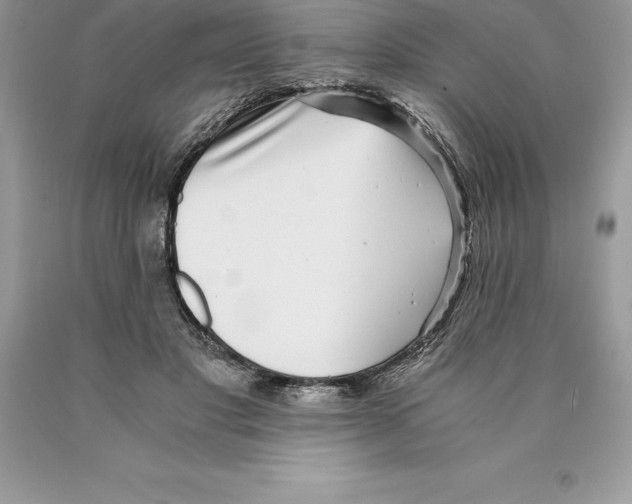 X0000089970501200707271924