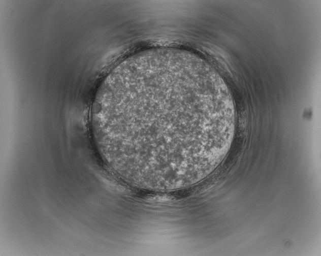 X0000089970503200707271924