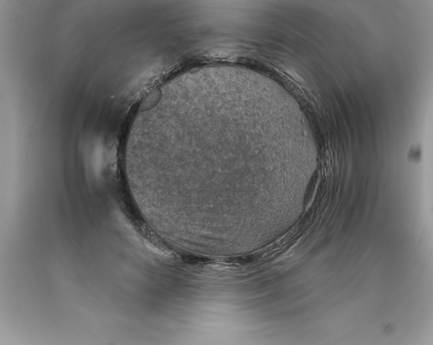 X0000089970504200707271924