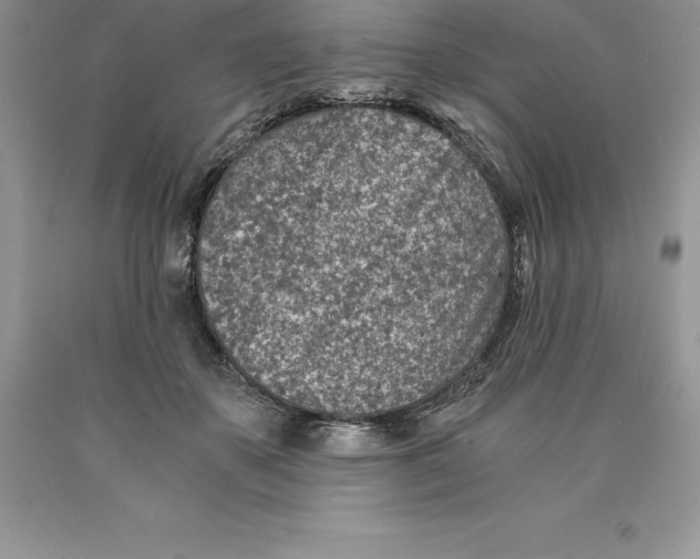 X0000089970507200707271924