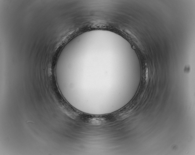 X0000089970508200707271924