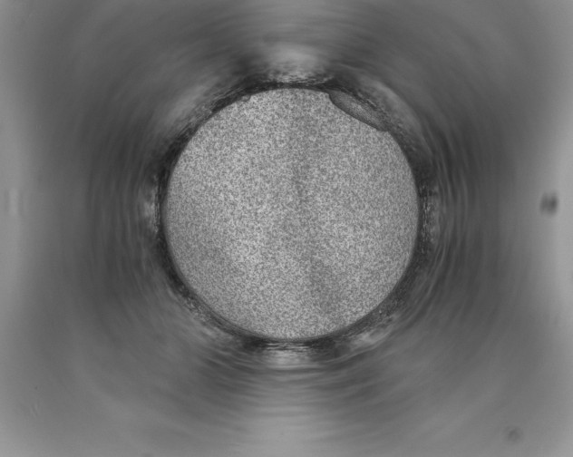 X0000089970510200707271924