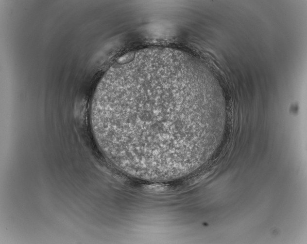 X0000089970511200707271924