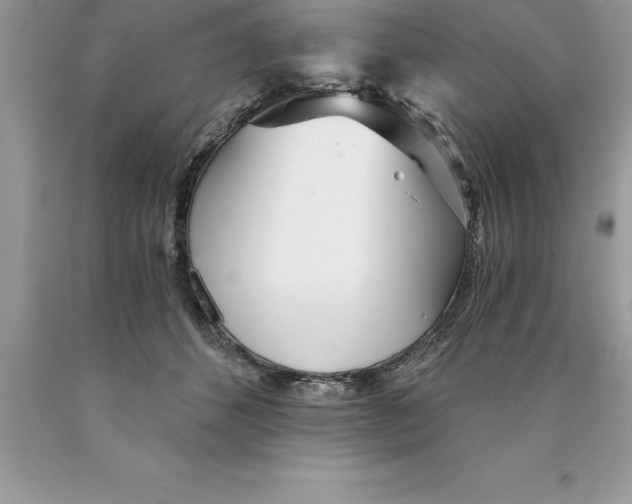 X0000089970512200707271924