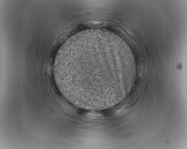 X0000089970515200707271924