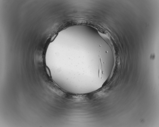 X0000089970516200707271924