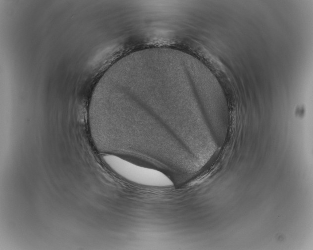 X0000089970517200707271924