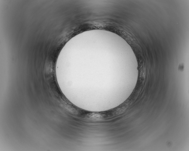 X0000089970518200707271924