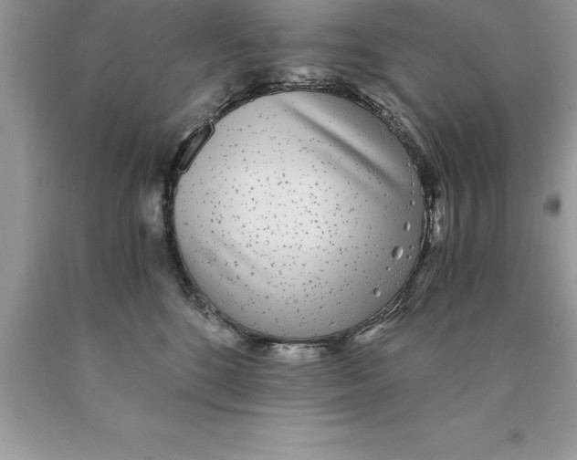 X0000089970520200707271924