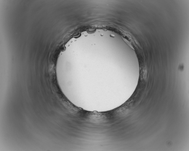 X0000089970521200707271924