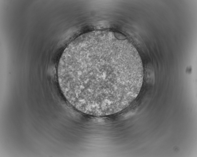 X0000089970523200707271924