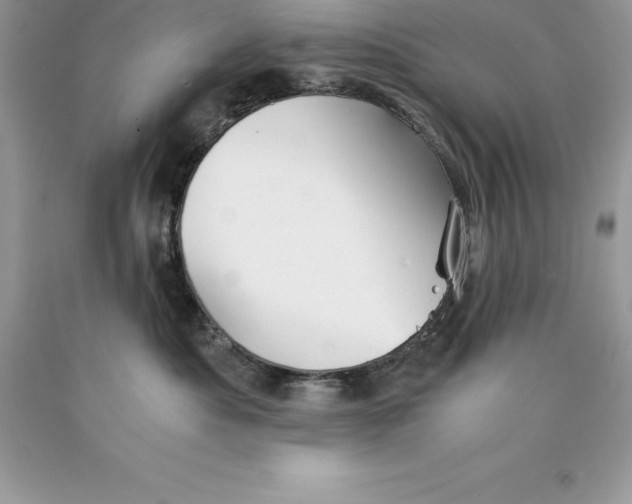 X0000089970525200707271924