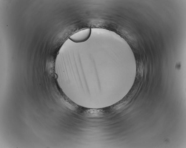 X0000089970526200707271924