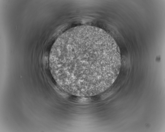 X0000089970527200707271924