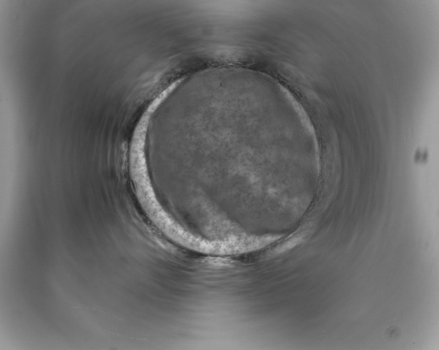 X0000089970528200707271924