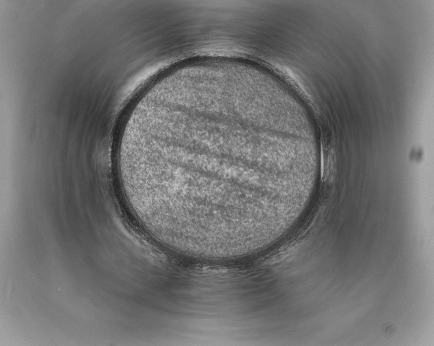 X0000089970531200707271923