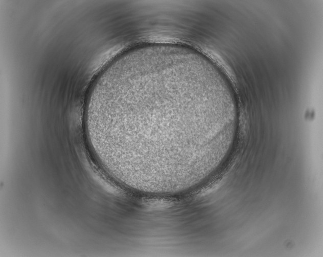 X0000089970533200707271923