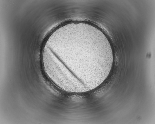 X0000089970535200707271923