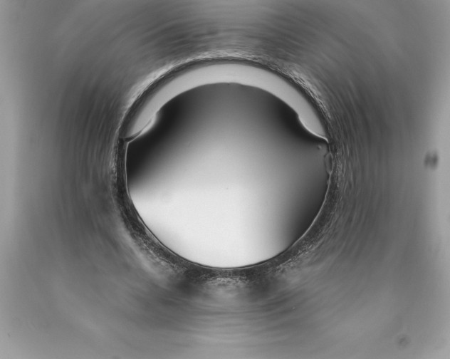 X0000089970536200707271923