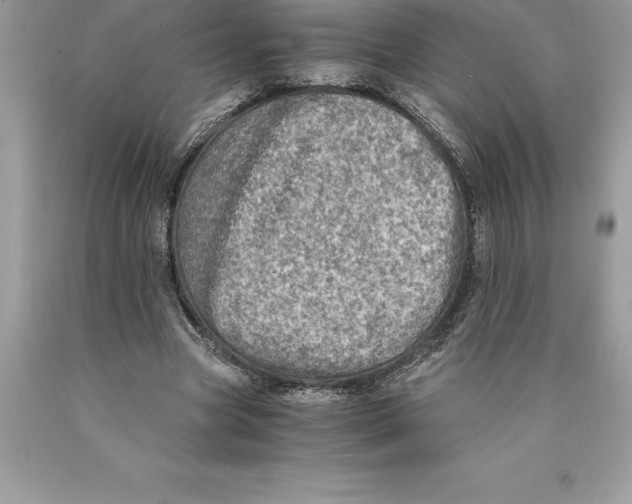 X0000089970537200707271923