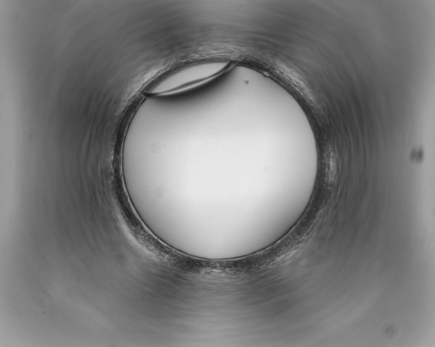 X0000089970538200707271923