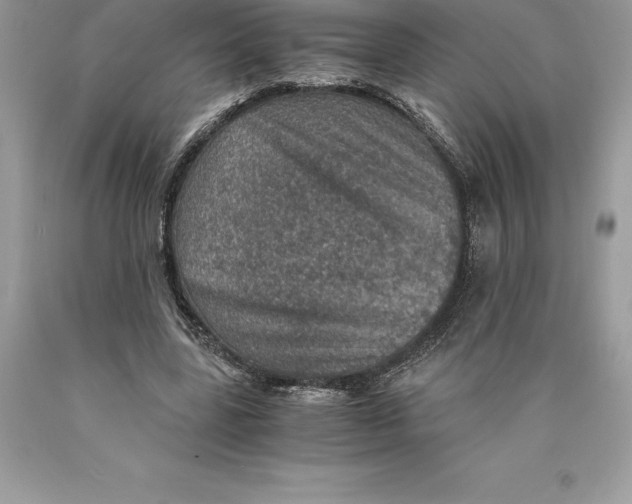 X0000089970539200707271923