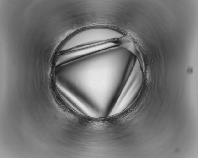 X0000089970540200707271923