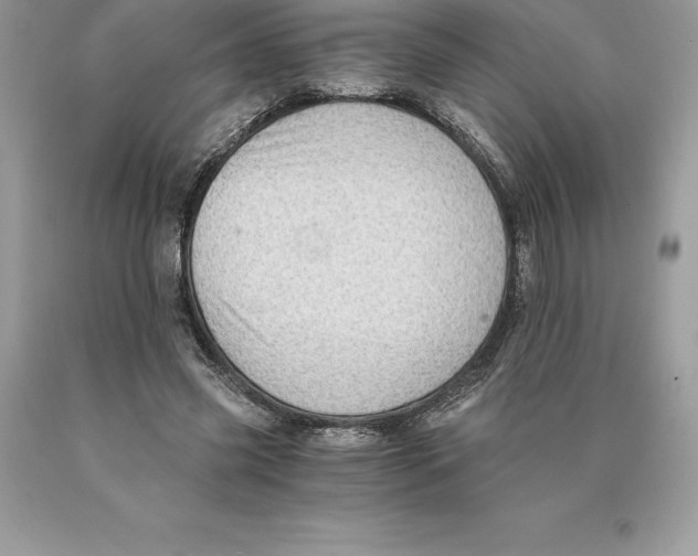 X0000089970541200707271923