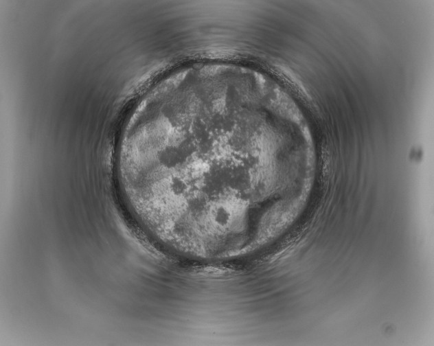 X0000089970542200707271923