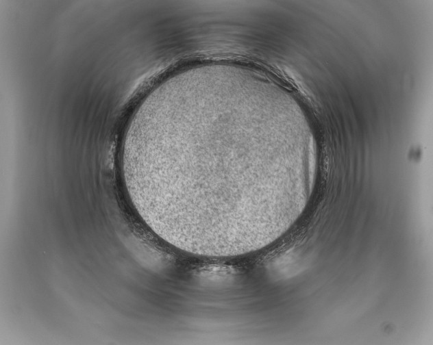 X0000089970543200707271923