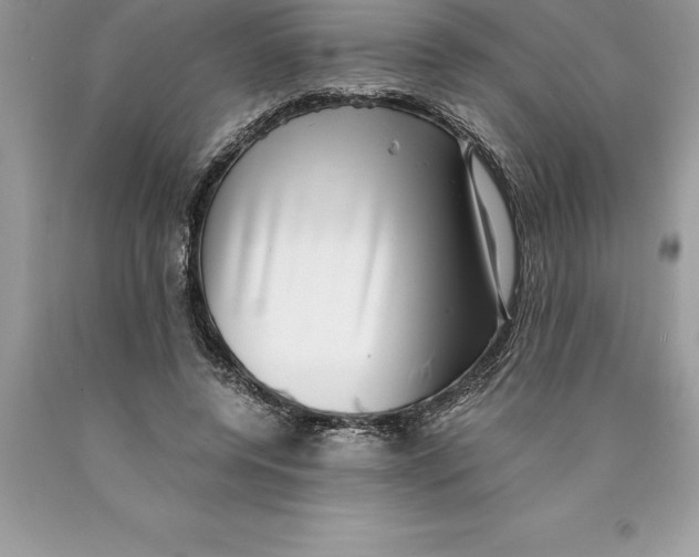 X0000089970544200707271923