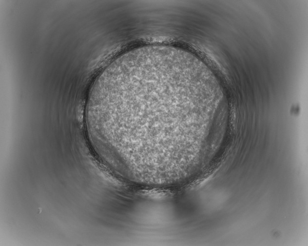 X0000089970545200707271923