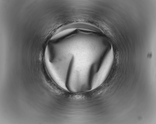 X0000089970546200707271923