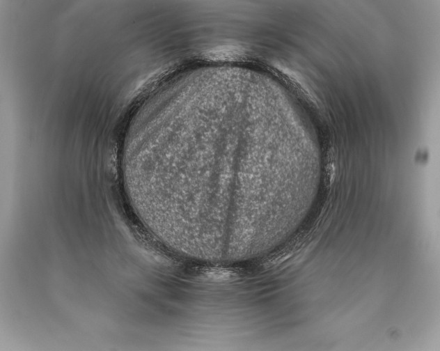 X0000089970547200707271923