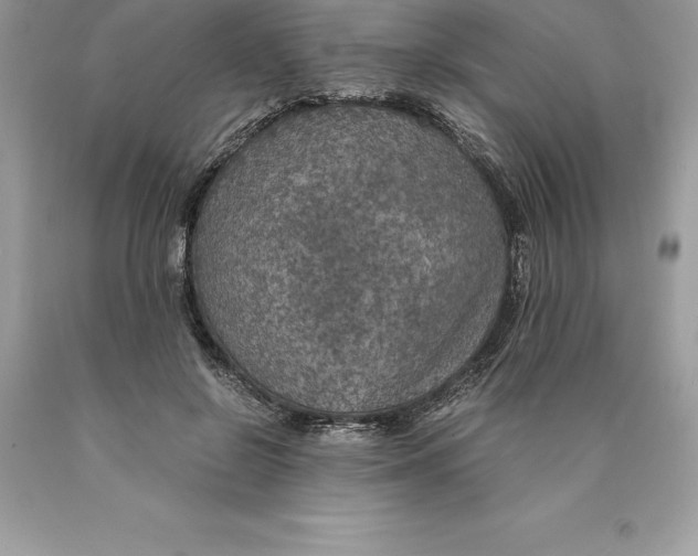 X0000089970550200707271923