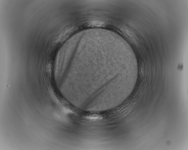 X0000089970551200707271923