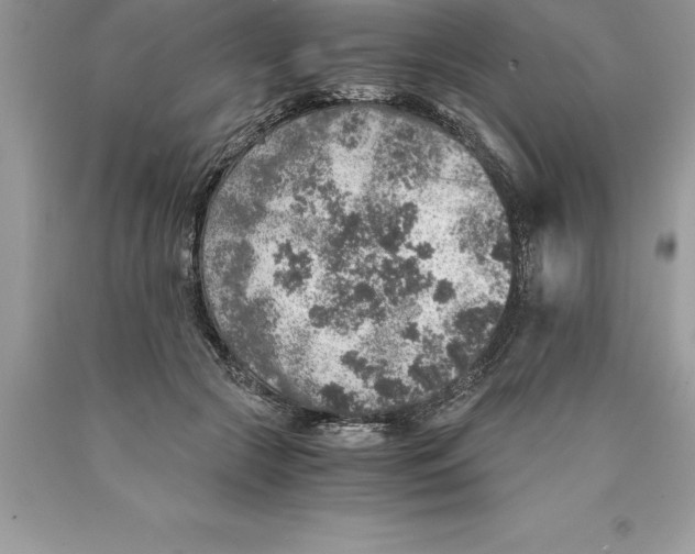 X0000089970553200707271923