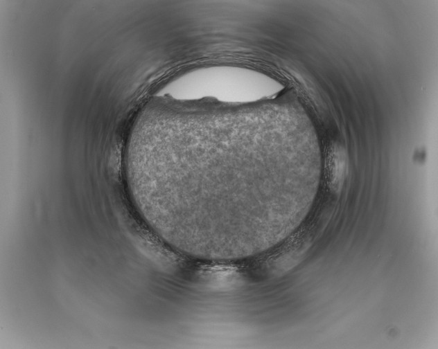 X0000089970554200707271923