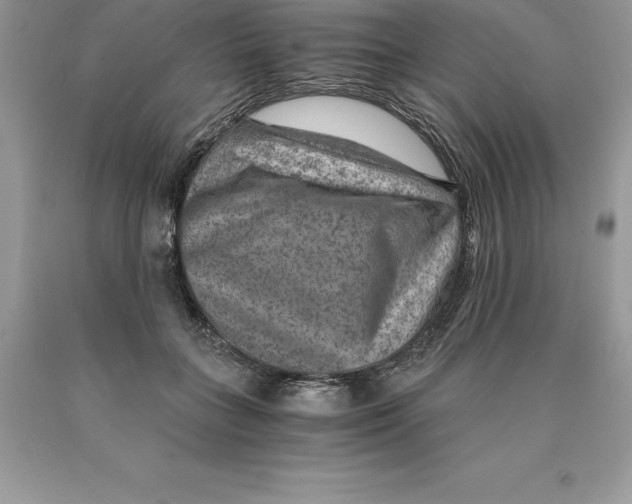 X0000089970555200707271923