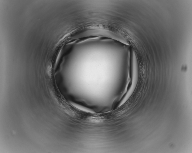 X0000089970556200707271923